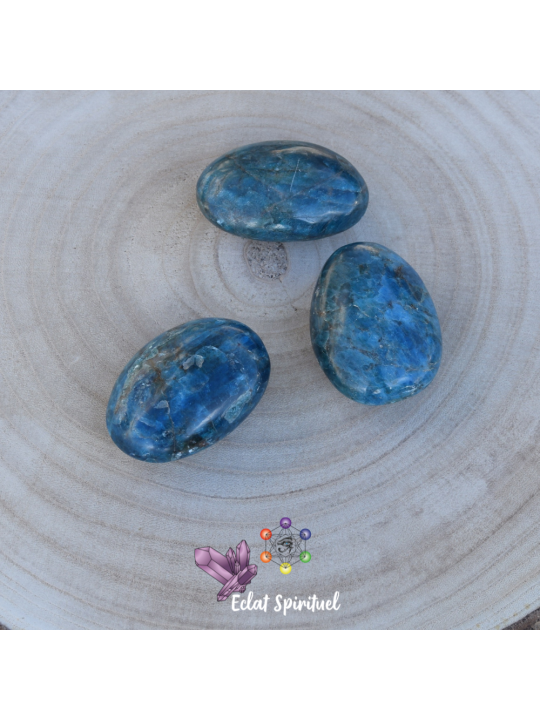 Galet en Apatite bleu taille XL en livraison rapide