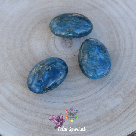 Galet en Apatite bleu taille XL en livraison rapide