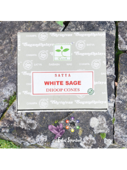 Cônes d'encens Satya White Sage