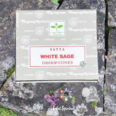 Cônes d'encens Satya White Sage
