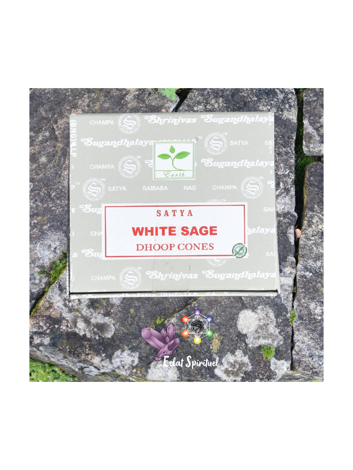 Cônes d'encens Satya White Sage
