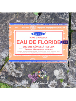 Cônes backflow Satya “Eau de Floride” – 10 pcs | Purification