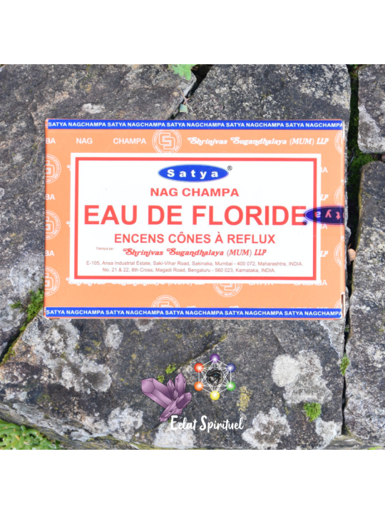 Cônes backflow Satya “Eau de Floride” – 10 pcs | Purification
