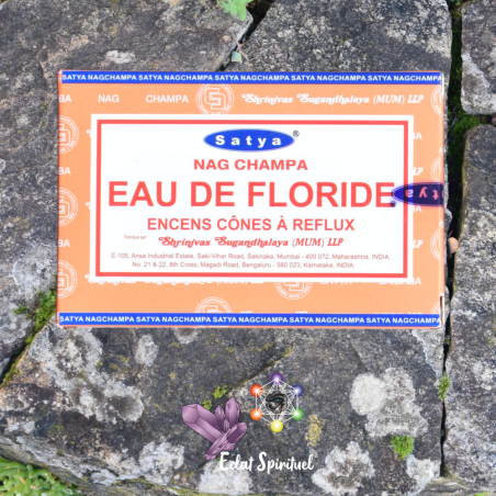 Cônes backflow Satya “Eau de Floride” – 10 pcs | Purification