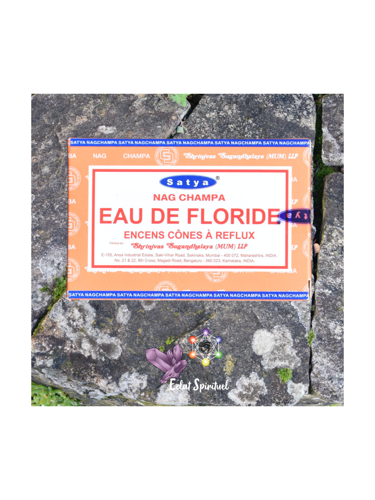 Cônes backflow Satya “Eau de Floride” – 10 pcs | Purification