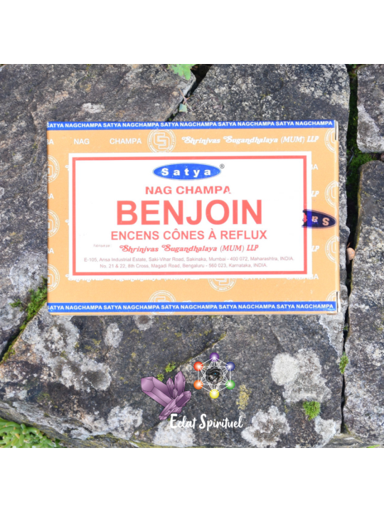 Cônes backflow Satya “Benjoin” – 10 pcs | Apaisement & Protection