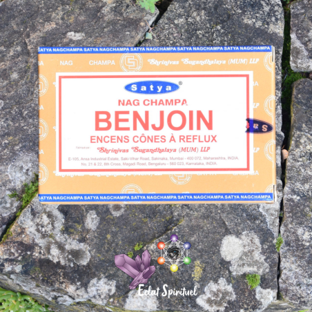 Cônes backflow Satya “Benjoin” – 10 pcs | Apaisement & Protection
