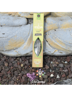 Bâton D'Encens HERBIO Citronnelle – Encens naturel