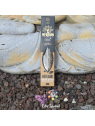 Bâton D'Encens HERBIO Musc Blanc – Encens naturel
