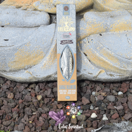 Encens HERBIO Sauge Blanche – Encens naturel
