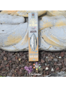 Encens HERBIO Sauge Blanche – Encens naturel