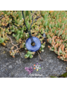 Sodalite en Pendentif Donut