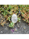 Cristal de Roche en pierre percée