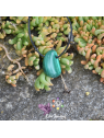 Malachite en pierre percée
