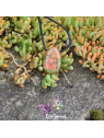 Pendentif Unakite – Pierre percée naturelle