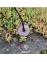Pendentif Donut Quartz Hématoïde Naturel