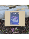 Coffret Encens du Monde – 7 senteurs premium