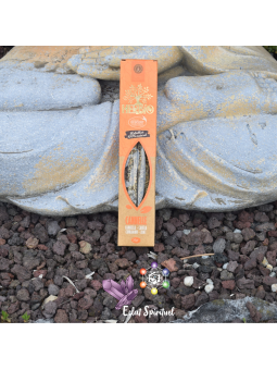 Encens Herbio Cannelle | Naturel Ecocert
