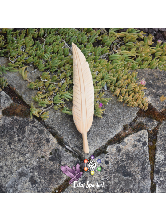 Plume en Bois pour Fumigation | Eclat Spirituel