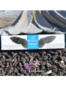 Coffret bâton encens Goloka 7 Archanges | 7 x 15 g