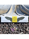 Coffret bâton encens Goloka 7 Archanges | 7 x 15 g