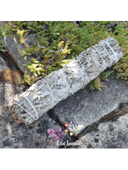 Bâton de Fumigation Sauge Blanche 20 cm | Eclat Spirituel