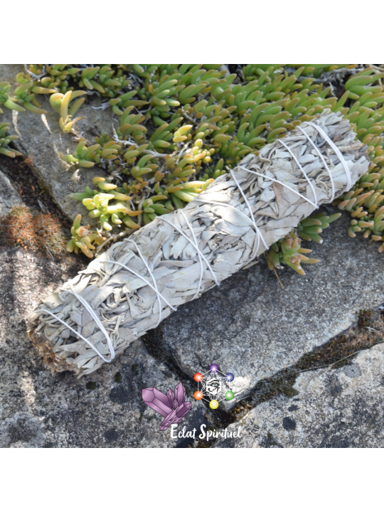 Bâton de Fumigation Sauge Blanche 20 cm | Eclat Spirituel