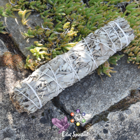 Bâton de Fumigation Sauge Blanche 20 cm | Eclat Spirituel
