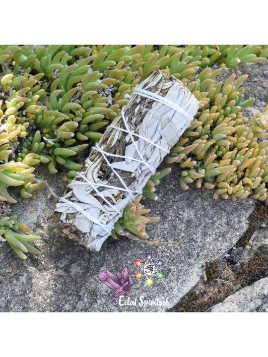 Yerba Santa avec sauge blanche en bâton de 10 CM pour purification