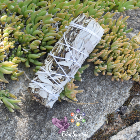 Yerba Santa avec sauge blanche en bâton de 10 CM pour purification