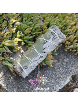 Bâton sauge blanche avec eucalyptus 10 CM