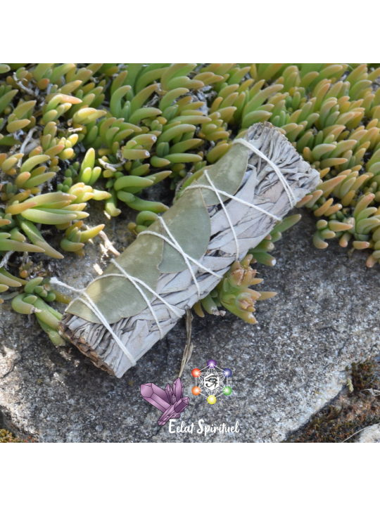 Bâton sauge blanche avec eucalyptus 10 CM