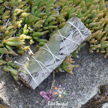 Bâton sauge blanche avec eucalyptus 10 CM