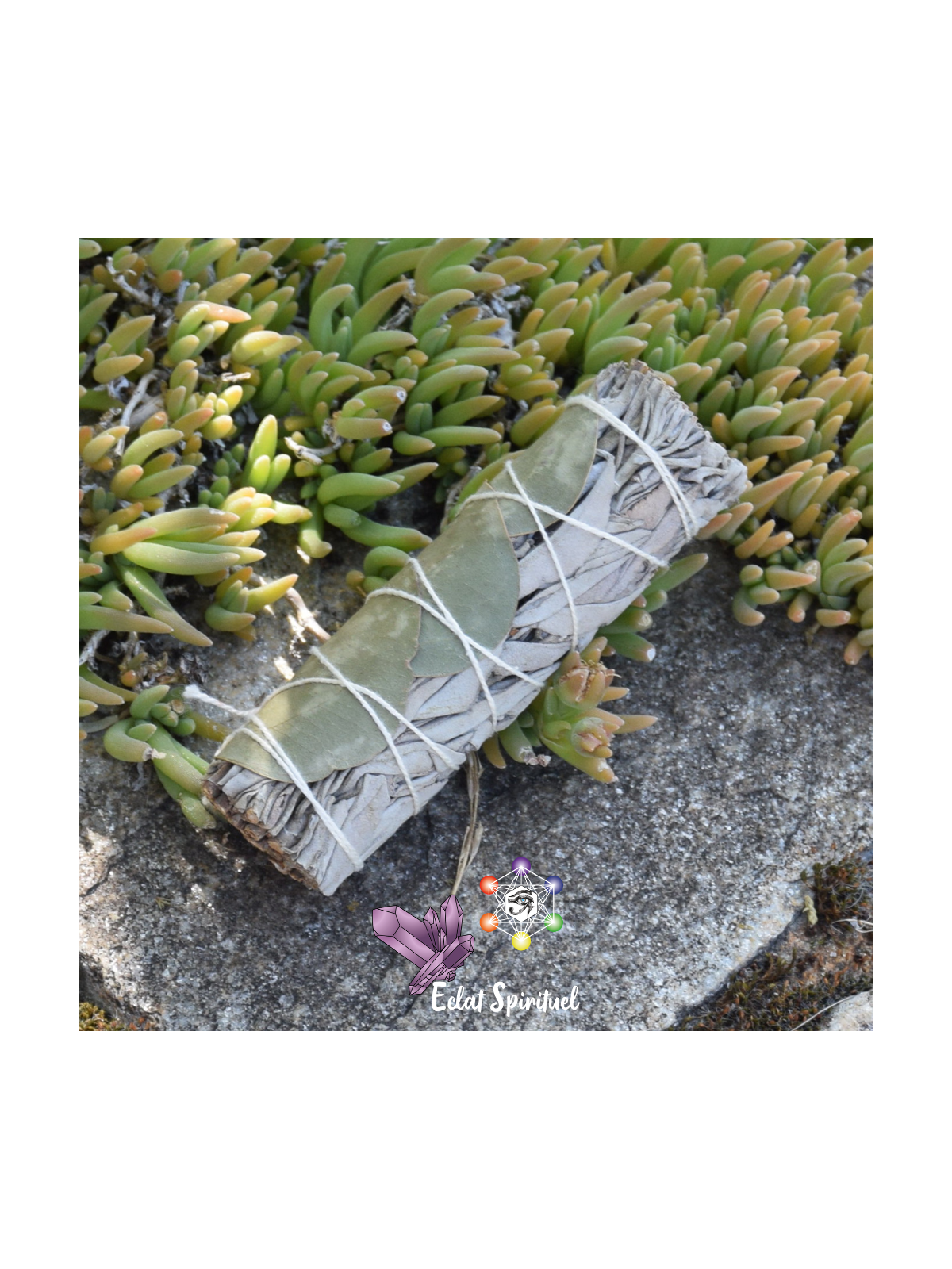 Bâton sauge blanche avec eucalyptus 10 CM