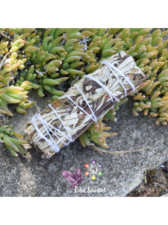Yerba Santa en bâton de 10 CM pour purification