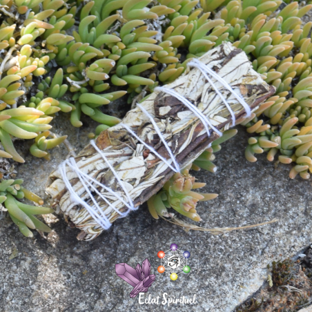 Yerba Santa en bâton de 10 CM pour purification