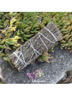 Copal en fagot de 10 CM pour purification