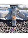 Bâton D'Encens Pontifical Oliban & Vanille | 15 g