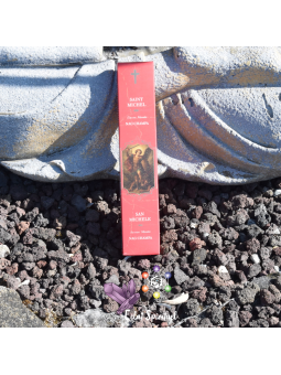 Bâton D'Encens Saint Michel Nag Champa | 15 g