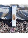 Bâton D'Encens Saint Raphaël Eucalyptus | 15 g
