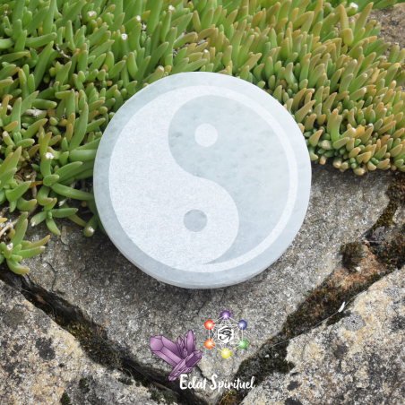 Plaque avec Yin Yang en Sélénite de 10 CM