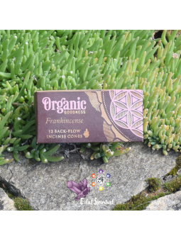 Cônes backflow Organic Goodness Frankincense – 12 pcs | Pureté