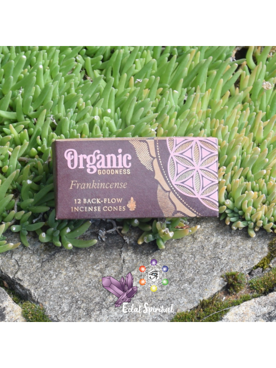 Cônes backflow Organic Goodness Frankincense – 12 pcs | Pureté