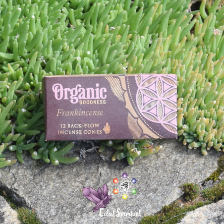 Cônes backflow Organic Goodness Frankincense – 12 pcs | Pureté
