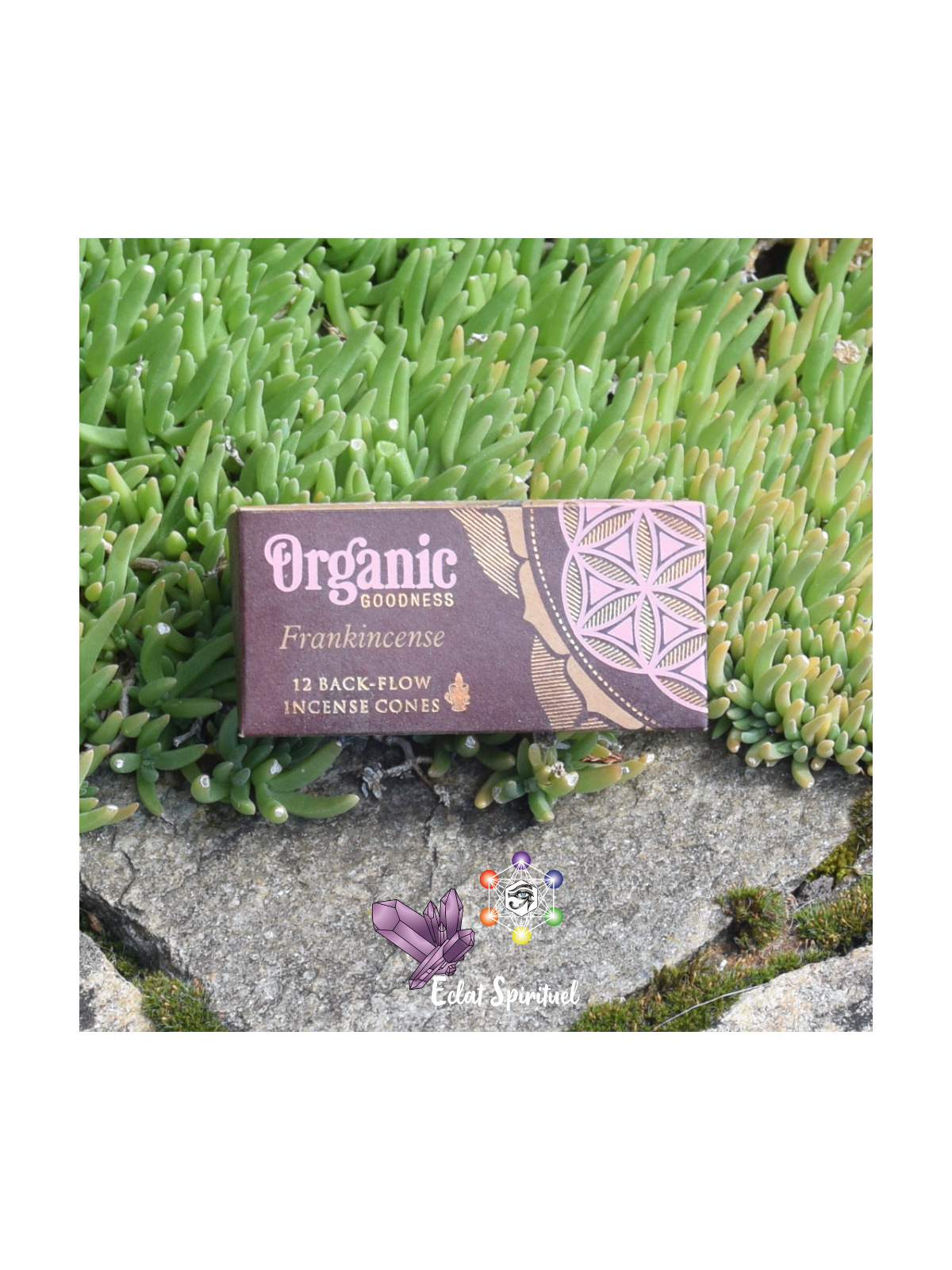 Cônes backflow Organic Goodness Frankincense – 12 pcs | Pureté