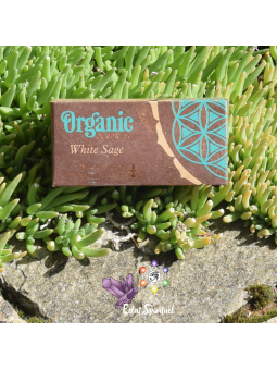 Cônes backflow Organic Goodness White Sage – 12 pcs | Pureté