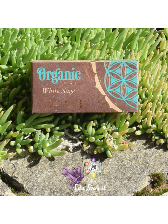 Cônes backflow Organic Goodness White Sage – 12 pcs | Pureté