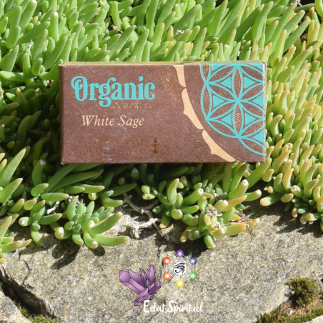 Cônes backflow Organic Goodness White Sage – 12 pcs | Pureté