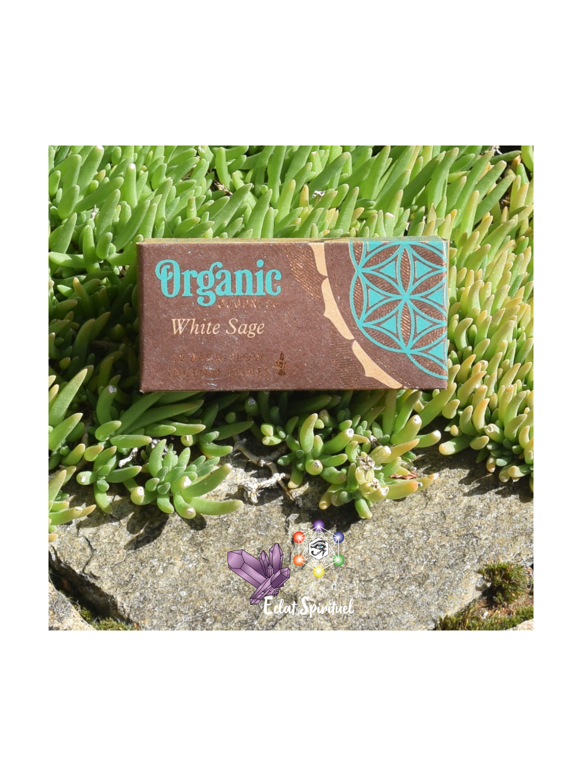 Cônes backflow Organic Goodness White Sage – 12 pcs | Pureté
