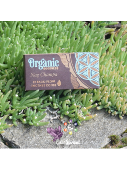 Cônes backflow Organic Goodness Nag Champa – 12 pcs | Harmonie